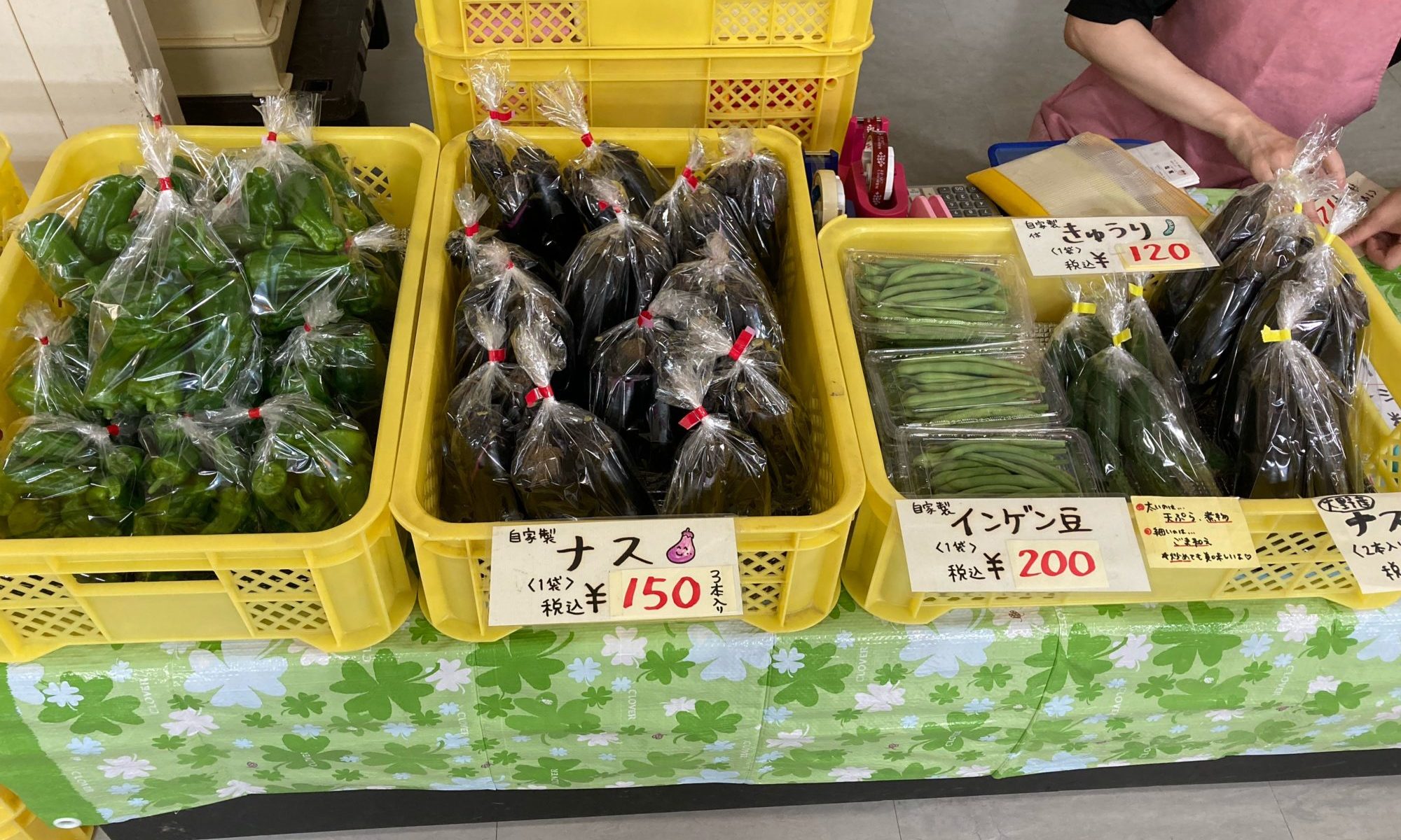 夏野菜の季節です